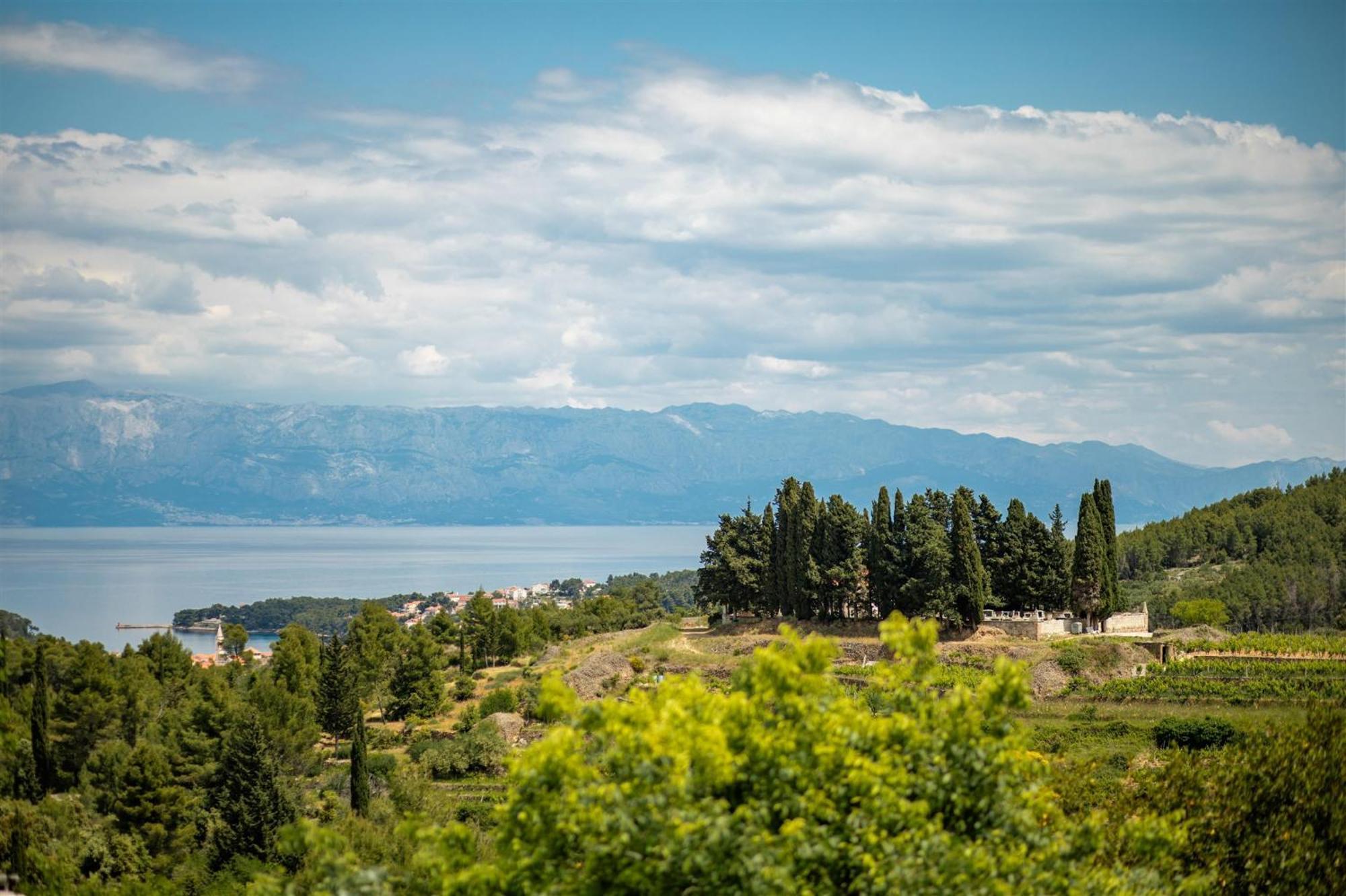 Dvor Pitve Villas Jelsa  Habitación foto